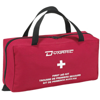 Dynamic Deluxe House First Aid Kit, Class 1 Medical Device, Nylon Bag Superchem Industries