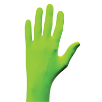 N-Dex&reg; Gloves, Small, Nitrile, 5-mil, Powder-Free, Green Superchem Industries