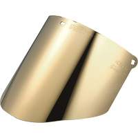 &eacute;cran facial Total Performance, Polycarbonate Superchem Industries