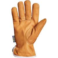 Gants de conducteur Endura, Petit, Paume en Cuir fleur de ch&egrave;vre, Thinsulate Superchem Industries