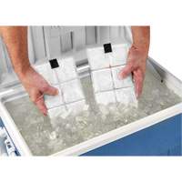 Chill-Its&reg; 6250 Phase Change Cooling Vest Packs Superchem Industries