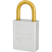 Cadenas de s&eacute;curit&eacute; American Lock, Transparent, Cl&eacute;s identiques, Aluminium, Largeur de 1-1/2" Superchem Industries