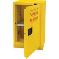 Armoire pour produits inflammables, 12 gal., 1 Porte(s), 23" La x 35" h x 18" p Superchem Industries