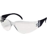 CeeTec Safety Glasses, Clear Lens, Anti-Fog/Anti-Scratch, Meets/Exceeds CSA Z94.3 Superchem Industries