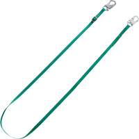 Longe de retenue Tieback V-Series, 10' Superchem Industries
