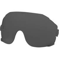 Eye Visor Replacement Lenses, Grey/Smoke Tint Superchem Industries