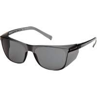 Lunettes de s&eacute;curit&eacute; Legacy, Lentille Gris, ANSI Z87+/R&eacute;pond ou surpasse la norme CSA Z94.3 Superchem Industries