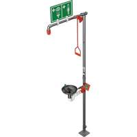 Combination Shower with Open Stainless Steel Bowl & Top Inlet, Pedestal Superchem Industries