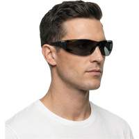 Lunettes de s&eacute;curit&eacute; Adapt Lite, Lentille Fum&eacute;e, Antibu&eacute;e/Anti-&eacute;gratignures, ANSI Z87+/R&eacute;pond ou surpasse la norme CSA Z94.3 Superchem Industries