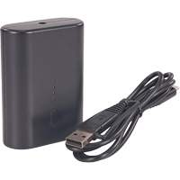 N-Ferno&reg; Portable Battery Power Bank with USB-C Cord Superchem Industries