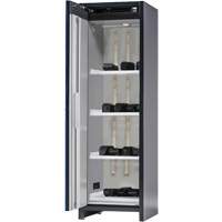 Lithium-ion Storage Cabinet with Charging & 90-Minute Fire Resistance Superchem Industries