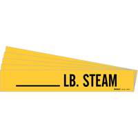 Marqueurs de tuyau LB. Steam, Autocollant, 2-1/4" h x 2-3/4" la, Noir sur jaune Superchem Industries