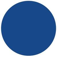 Round Write-On Labels, Circle, 1.5" L x 1.5" W, Blue Superchem Industries