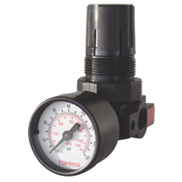 Mini Regulators, 1/4" NPT, 165 PSI Max. PSI, Modular Superchem Industries