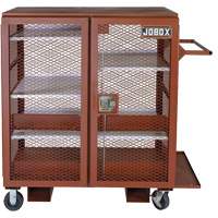 Mobile Mesh Cabinet, Steel, 37 Cubic Feet, Red Superchem Industries