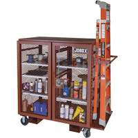 Mobile Mesh Cabinet, Steel, 37 Cubic Feet, Red Superchem Industries