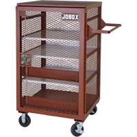 Mobile Mesh Cabinet, Steel, 22 Cubic Feet, Red Superchem Industries