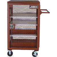 Mobile Mesh Cabinet, Steel, 22 Cubic Feet, Red Superchem Industries