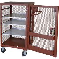 Mobile Mesh Cabinet, Steel, 22 Cubic Feet, Red Superchem Industries