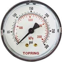 Replacement Pressure Gauge, 2" , 0 - 175 psi, Back Mount, Analogue Superchem Industries