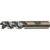 PM Plus Single End Roughers, Powder Metal, 3-Flute, Centre Cutting, Square End, 3/4" Dia. Superchem Industries