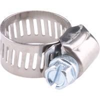 Reusable Zinc Plated Stainless Steel Clamp, Min Dia. 5/16", Max Dia. 7/8" Superchem Industries