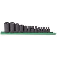 External Torx&reg; Socket Set, 1/2"/1/4"/3/8" Drive Superchem Industries