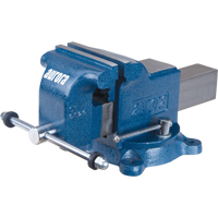 Heavy-Duty Bench Vise, 5" Jaw Width Superchem Industries