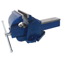 Ductile Iron Mechanics Bench Vise, 8" Jaw Width, 4" Throat Depth Superchem Industries