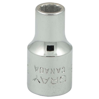 Socket, 3/16", 1/4" Drive, 12 Points Superchem Industries