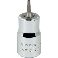 Bit Socket, Torx&reg;, T8 x 2-1/8" L, 3/8" Drive Superchem Industries