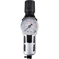 Modular Air Filter/Regulator (Gauge Included), 1/4" NPT, 145 PSI, 0.3 fl. oz. Capacity Superchem Industries