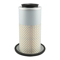 PA3833 &eacute;l&eacute;ment de filtre &agrave; air Superchem Industries