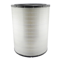 RS3700 &eacute;l&eacute;ment filtrant externe pour l'air avec joint radial Superchem Industries