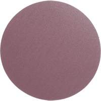 PSA Cloth Disc 348D, 12" Dia., 60 Grit, Aluminum Oxide, X-Weight Superchem Industries