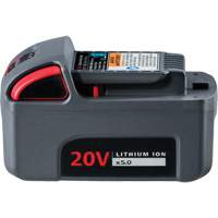 IQV20 High Capacity Battery, Lithium-Ion, 20 V, 5 Ah Superchem Industries