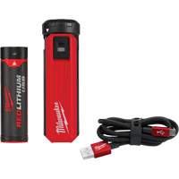 Redlithium USB Charger & Power Source Kit, 4 V, Lithium-Ion Superchem Industries
