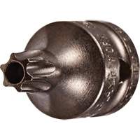 Socket Bit, Torx&reg; Tamper, 8 x 3/4" L, 1/4" Drive Superchem Industries