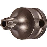 Socket Bit, Torx&reg; Tamper, 25 x 1" L, 3/8" Drive Superchem Industries