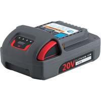 IQV20 Series Battery, Lithium-Ion, 20 V, 2.5 Ah Superchem Industries