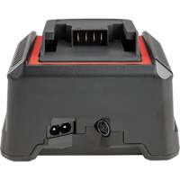 2.5 Ah & 5.0 Ah Battery Charger, 120 V, Lithium-Ion Superchem Industries