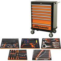 Auto Mechanic Set with Rolling Cabinet Superchem Industries