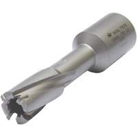 Core Cut Annular Cutter with Weldon Shank, 12 mm Diameter, Carbide, 30 mm Depth of Cut, 3/4" Shank Superchem Industries
