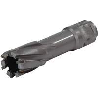 Universal Shank Annular Cutter, 1/2" Diameter, Carbide, 1" Depth of Cut, 3/4" Shank Superchem Industries