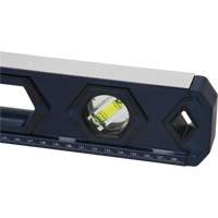 High-Accuracy Level, Box, 2' L, Aluminum, 3, Non-Magnetic Superchem Industries