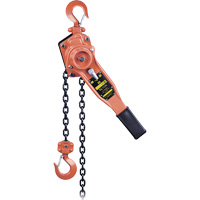 KLP-75-10 KLP Series Heavy-Duty Lever Chain Hoist, 10' Lift, 1500 lbs. (0.75 tons) Capacity Superchem Industries