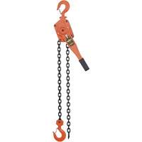 VLP Series Chain Hoists, 5' Lift, 6000 lbs. (3 tons) Capacity, Steel Chain Superchem Industries