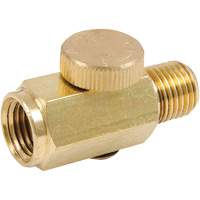 AR5401 Air Regulators - Brass, 1/4" NPT Superchem Industries
