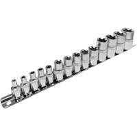 SS314TS  Standard External Socket Sets, Torx&reg;, 1/2"/1/4"/3/8" Drive, 14 Pcs Superchem Industries