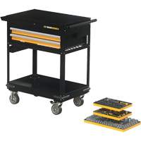 Mechanics Tool Set in Modular Foam Trays with Storage Unit, 194 Pieces Superchem Industries
